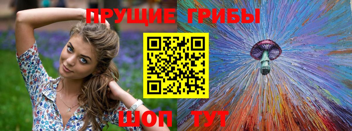 Псилоцибиновые грибы Cubensis  Галлюциногенные грибы мицелий  Вход с VPN  Барнаул 