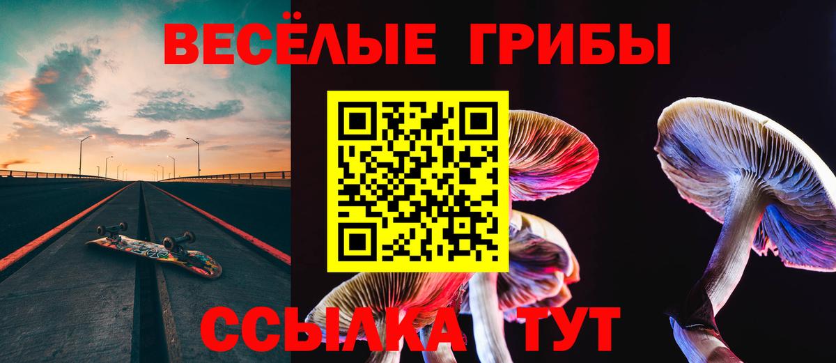 Псилоцибиновые грибы Psilocybe Барнаул