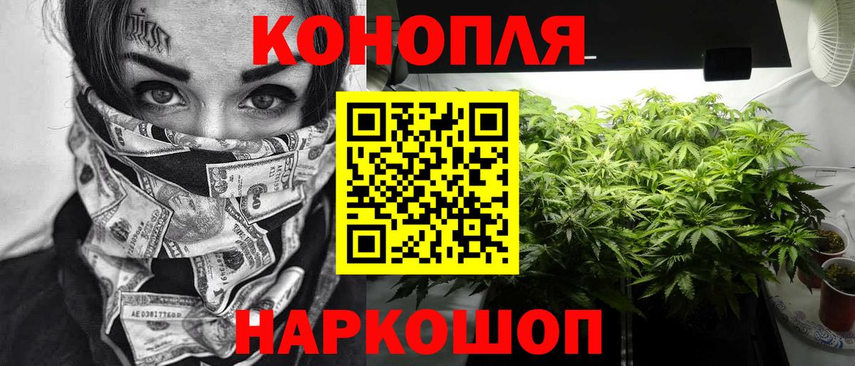 Марихуана план Барнаул